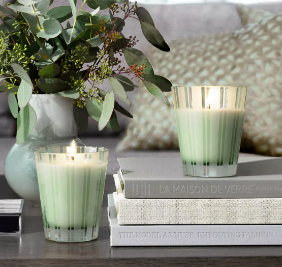 NEST New York Wild Mint & Eucalyptus Candle - 8floz