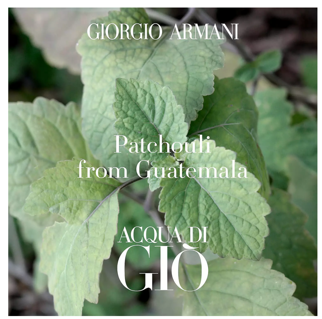 Armani Acqua di Gio Profondo EDP Spray