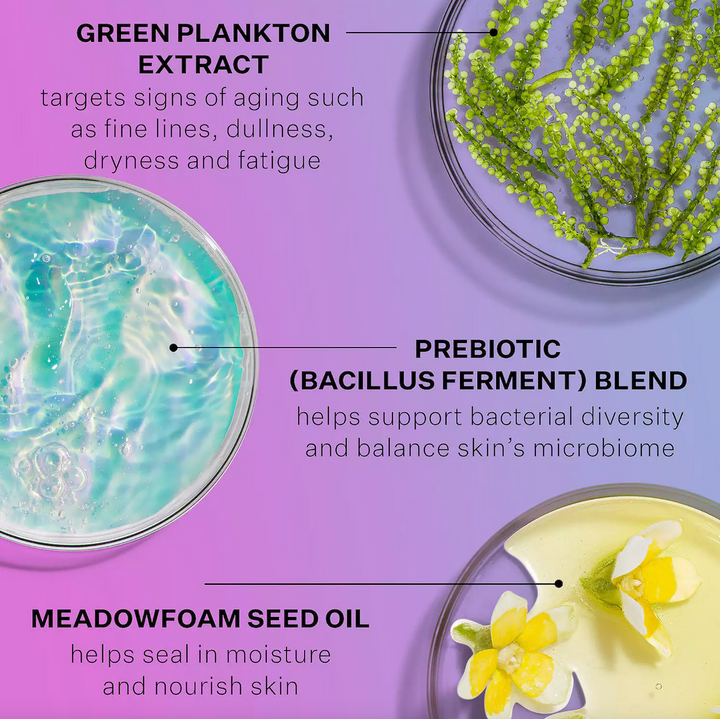 StriVectin Super-B Barrier Strengthening Oil with Vitamin B3 and Prebiotics