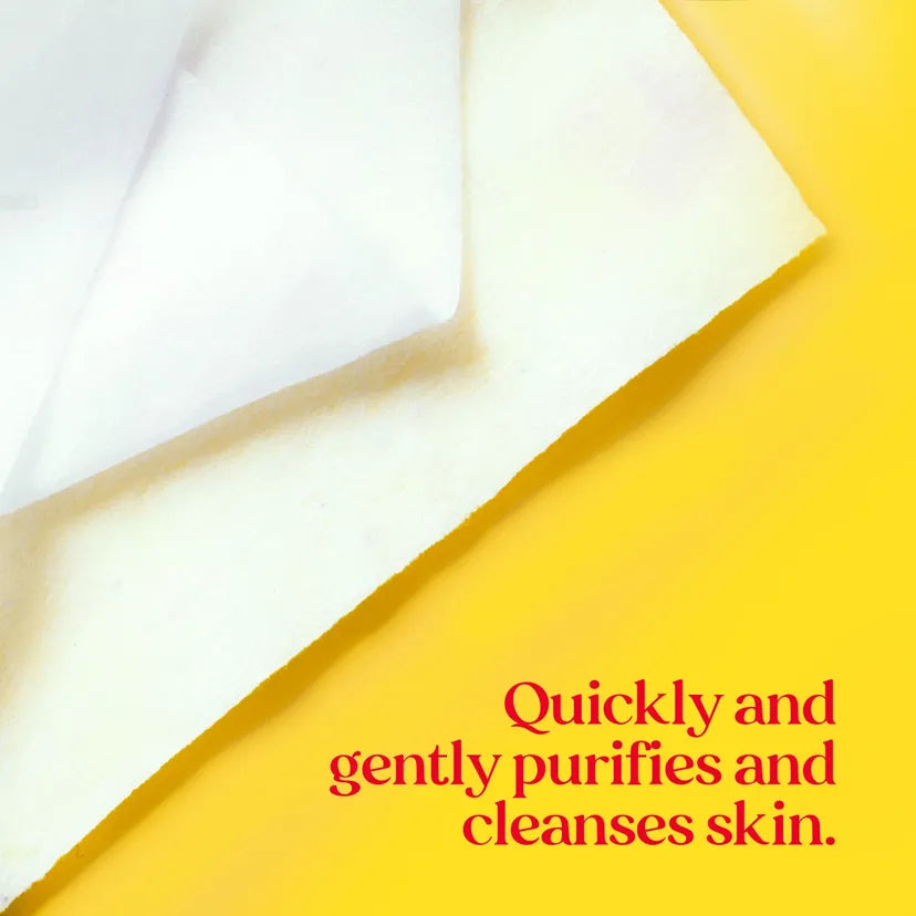 Burt's Bees Cleansing Towelettes