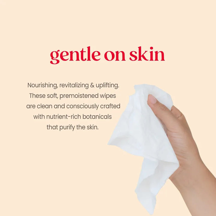 Burt's Bees Clarifying Facial Towelettes