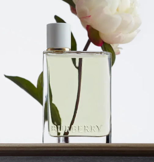 BURBERRY Her Eau De Toilette (3.3fl oz)